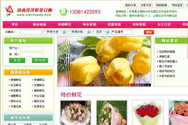 济南网站建设与优化服务全解析 从制作到推广再到备案