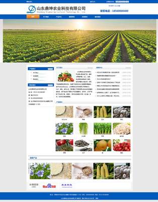 山东鼎坤农业企业网站建设成功案例 康美科技助力济南农业品牌数字化转型